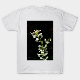 Candles In The Wind T-Shirt